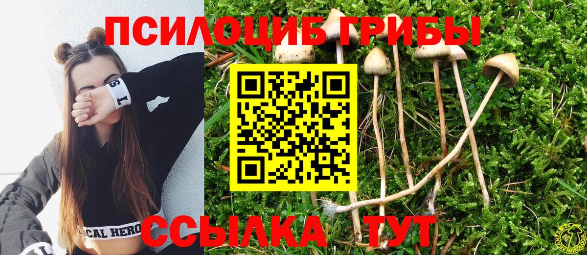 дарнет шоп  Вход с VPN  Борзя  Галлюциногенные грибы мицелий 